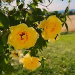 Casale Milleluci - Country House *