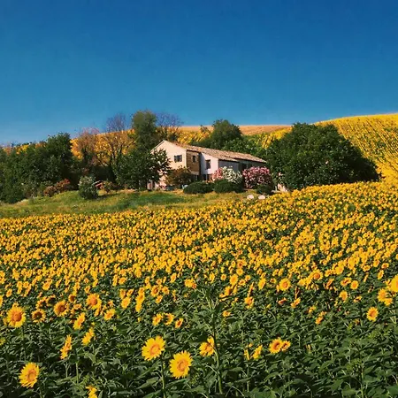 Casale Milleluci - Apartamento