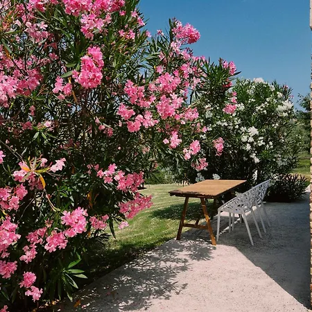 Casale Milleluci - Country House *