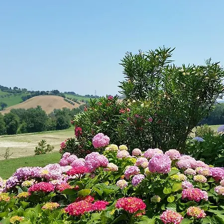 Casa Onda Senigallia